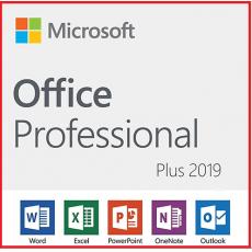 Office 2019 Professional Plus 2台認証用